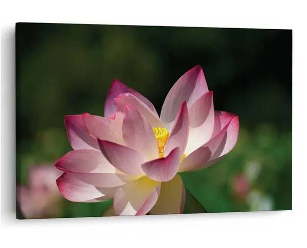 Multicolor_16_X_24_Inch,_Pine_Wood_Framed_Canvas_Paintings_|_For_Home_Decor,_Ready_To_Wall_Hanging,_Premium_Painting_|_For_|_Bedroom,_Living_Room,_Office_Wall_Decoration_|_Wall_Art_Painting,_Ct2460