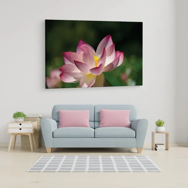 Multicolor_16_X_24_Inch,_Pine_Wood_Framed_Canvas_Paintings_|_For_Home_Decor,_Ready_To_Wall_Hanging,_Premium_Painting_|_For_|_Bedroom,_Living_Room,_Office_Wall_Decoration_|_Wall_Art_Painting,_Ct2460