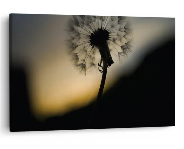 Multicolor_16_X_24_Inch,_Pine_Wood_Framed_Canvas_Paintings_|_For_Home_Decor,_Ready_To_Wall_Hanging,_Premium_Painting_|_For_|_Bedroom,_Living_Room,_Office_Wall_Decoration_|_Wall_Art_Painting,_Ct2462