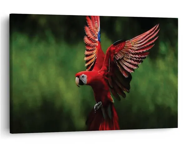 Multicolor_16_X_24_Inch,_Pine_Wood_Framed_Canvas_Paintings_|_For_Home_Decor,_Ready_To_Wall_Hanging,_Premium_Painting_|_For_|_Bedroom,_Living_Room,_Office_Wall_Decoration_|_Wall_Art_Painting,_Ct2463