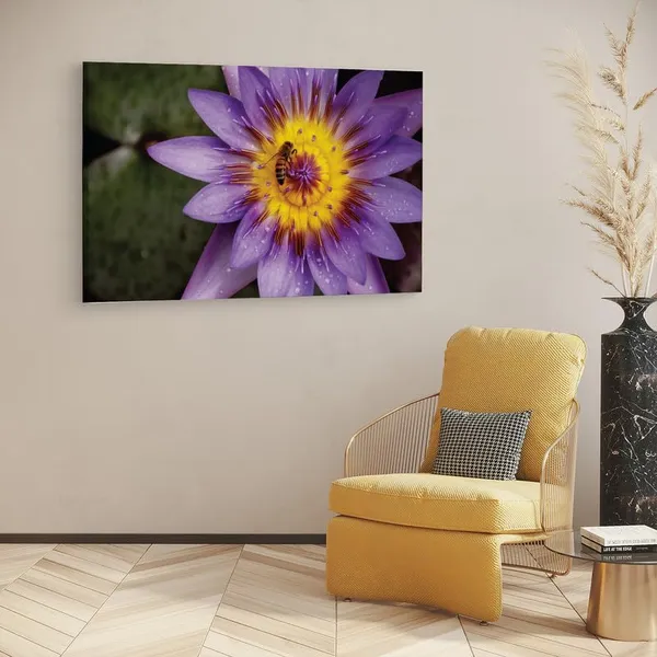 Multicolor_16_X_24_Inch,_Pine_Wood_Framed_Canvas_Paintings_|_For_Home_Decor,_Ready_To_Wall_Hanging,_Premium_Painting_|_For_|_Bedroom,_Living_Room,_Office_Wall_Decoration_|_Wall_Art_Painting,_Ct2464