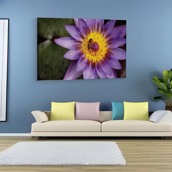 Multicolor_16_X_24_Inch,_Pine_Wood_Framed_Canvas_Paintings_|_For_Home_Decor,_Ready_To_Wall_Hanging,_Premium_Painting_|_For_|_Bedroom,_Living_Room,_Office_Wall_Decoration_|_Wall_Art_Painting,_Ct2464