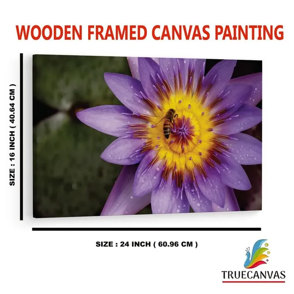 Multicolor_16_X_24_Inch,_Pine_Wood_Framed_Canvas_Paintings_|_For_Home_Decor,_Ready_To_Wall_Hanging,_Premium_Painting_|_For_|_Bedroom,_Living_Room,_Office_Wall_Decoration_|_Wall_Art_Painting,_Ct2464