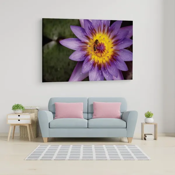 Multicolor_16_X_24_Inch,_Pine_Wood_Framed_Canvas_Paintings_|_For_Home_Decor,_Ready_To_Wall_Hanging,_Premium_Painting_|_For_|_Bedroom,_Living_Room,_Office_Wall_Decoration_|_Wall_Art_Painting,_Ct2464