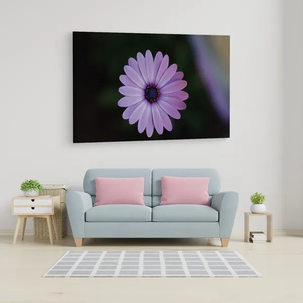 Multicolor_16_X_24_Inch,_Pine_Wood_Framed_Canvas_Paintings_|_For_Home_Decor,_Ready_To_Wall_Hanging,_Premium_Painting_|_For_|_Bedroom,_Living_Room,_Office_Wall_Decoration_|_Wall_Art_Painting,_Ct2465
