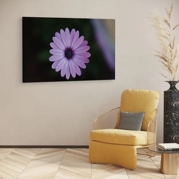 Multicolor_16_X_24_Inch,_Pine_Wood_Framed_Canvas_Paintings_|_For_Home_Decor,_Ready_To_Wall_Hanging,_Premium_Painting_|_For_|_Bedroom,_Living_Room,_Office_Wall_Decoration_|_Wall_Art_Painting,_Ct2465