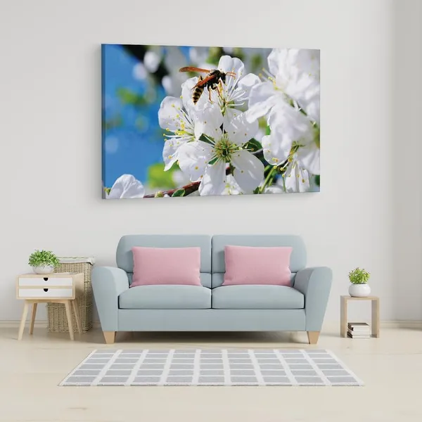 Multicolor_16_X_24_Inch,_Pine_Wood_Framed_Canvas_Paintings_|_For_Home_Decor,_Ready_To_Wall_Hanging,_Premium_Painting_|_For_|_Bedroom,_Living_Room,_Office_Wall_Decoration_|_Wall_Art_Painting,_Ct2467