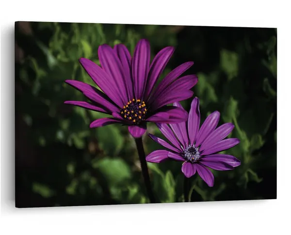 Multicolor_16_X_24_Inch,_Pine_Wood_Framed_Canvas_Paintings_|_For_Home_Decor,_Ready_To_Wall_Hanging,_Premium_Painting_|_For_|_Bedroom,_Living_Room,_Office_Wall_Decoration_|_Wall_Art_Painting,_Ct2468