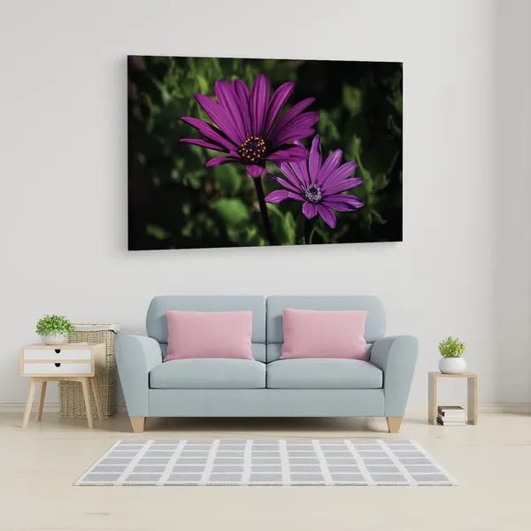 Multicolor_16_X_24_Inch,_Pine_Wood_Framed_Canvas_Paintings_|_For_Home_Decor,_Ready_To_Wall_Hanging,_Premium_Painting_|_For_|_Bedroom,_Living_Room,_Office_Wall_Decoration_|_Wall_Art_Painting,_Ct2468