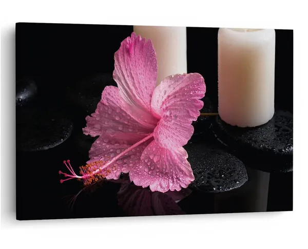 Multicolor_16_X_24_Inch,_Pine_Wood_Framed_Canvas_Paintings_|_For_Home_Decor,_Ready_To_Wall_Hanging,_Premium_Painting_|_For_|_Bedroom,_Living_Room,_Office_Wall_Decoration_|_Wall_Art_Painting,_Ct2469
