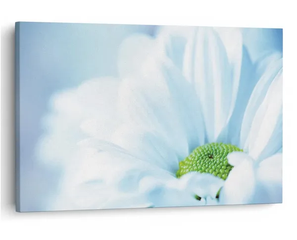 Multicolor_16_X_24_Inch,_Pine_Wood_Framed_Canvas_Paintings_|_For_Home_Decor,_Ready_To_Wall_Hanging,_Premium_Painting_|_For_|_Bedroom,_Living_Room,_Office_Wall_Decoration_|_Wall_Art_Painting,_Ct2470