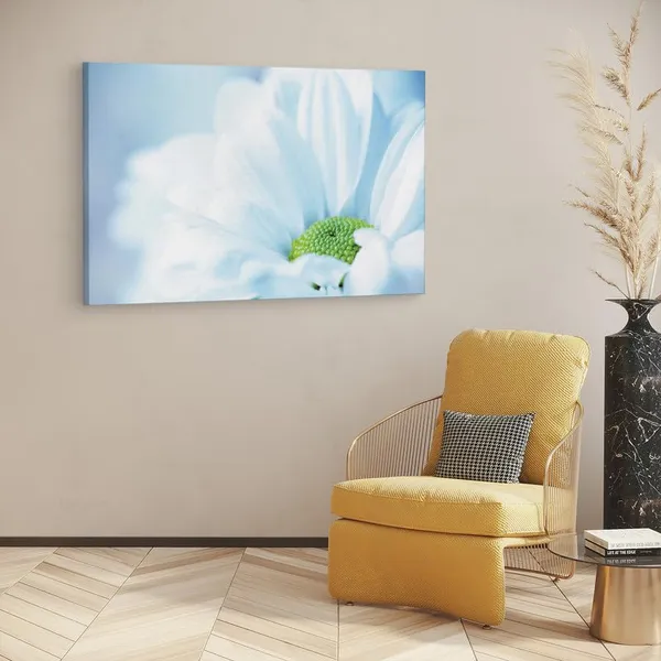 Multicolor_16_X_24_Inch,_Pine_Wood_Framed_Canvas_Paintings_|_For_Home_Decor,_Ready_To_Wall_Hanging,_Premium_Painting_|_For_|_Bedroom,_Living_Room,_Office_Wall_Decoration_|_Wall_Art_Painting,_Ct2470