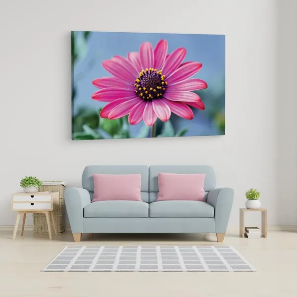 Multicolor_16_X_24_Inch,_Pine_Wood_Framed_Canvas_Paintings_|_For_Home_Decor,_Ready_To_Wall_Hanging,_Premium_Painting_|_For_|_Bedroom,_Living_Room,_Office_Wall_Decoration_|_Wall_Art_Painting,_Ct2472