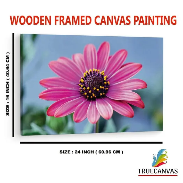 Multicolor_16_X_24_Inch,_Pine_Wood_Framed_Canvas_Paintings_|_For_Home_Decor,_Ready_To_Wall_Hanging,_Premium_Painting_|_For_|_Bedroom,_Living_Room,_Office_Wall_Decoration_|_Wall_Art_Painting,_Ct2472