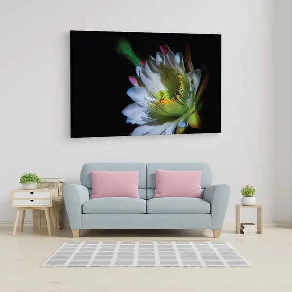 Multicolor_16_X_24_Inch,_Pine_Wood_Framed_Canvas_Paintings_|_For_Home_Decor,_Ready_To_Wall_Hanging,_Premium_Painting_|_For_|_Bedroom,_Living_Room,_Office_Wall_Decoration_|_Wall_Art_Painting,_Ct2473