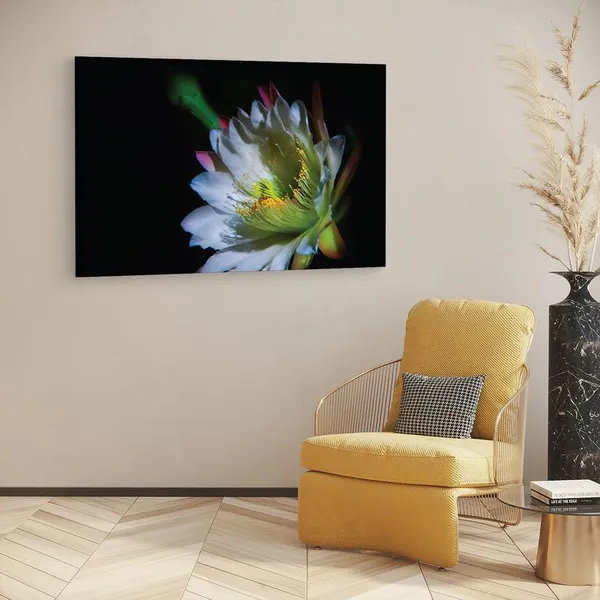 Multicolor_16_X_24_Inch,_Pine_Wood_Framed_Canvas_Paintings_|_For_Home_Decor,_Ready_To_Wall_Hanging,_Premium_Painting_|_For_|_Bedroom,_Living_Room,_Office_Wall_Decoration_|_Wall_Art_Painting,_Ct2473