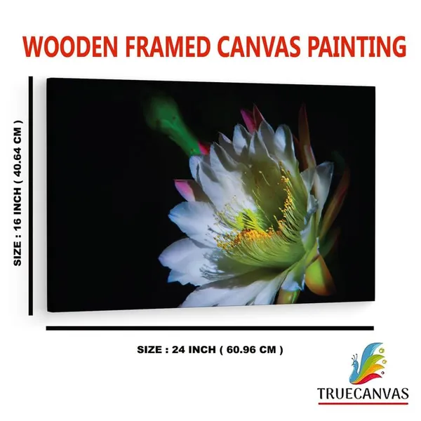 Multicolor_16_X_24_Inch,_Pine_Wood_Framed_Canvas_Paintings_|_For_Home_Decor,_Ready_To_Wall_Hanging,_Premium_Painting_|_For_|_Bedroom,_Living_Room,_Office_Wall_Decoration_|_Wall_Art_Painting,_Ct2473