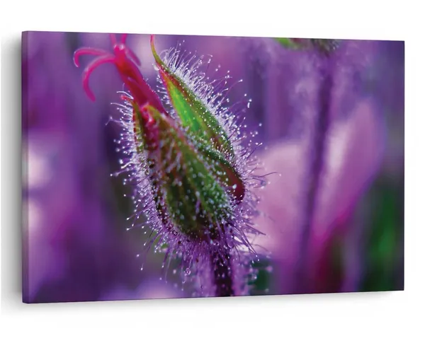 Multicolor_16_X_24_Inch,_Pine_Wood_Framed_Canvas_Paintings_|_For_Home_Decor,_Ready_To_Wall_Hanging,_Premium_Painting_|_For_|_Bedroom,_Living_Room,_Office_Wall_Decoration_|_Wall_Art_Painting,_Ct2475