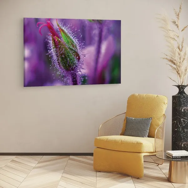 Multicolor_16_X_24_Inch,_Pine_Wood_Framed_Canvas_Paintings_|_For_Home_Decor,_Ready_To_Wall_Hanging,_Premium_Painting_|_For_|_Bedroom,_Living_Room,_Office_Wall_Decoration_|_Wall_Art_Painting,_Ct2475