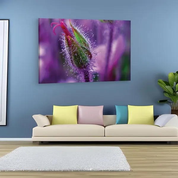 Multicolor_16_X_24_Inch,_Pine_Wood_Framed_Canvas_Paintings_|_For_Home_Decor,_Ready_To_Wall_Hanging,_Premium_Painting_|_For_|_Bedroom,_Living_Room,_Office_Wall_Decoration_|_Wall_Art_Painting,_Ct2475