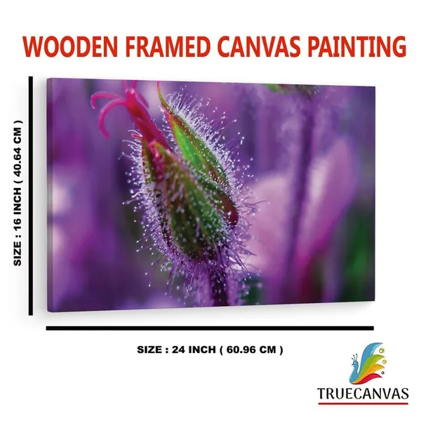 Multicolor_16_X_24_Inch,_Pine_Wood_Framed_Canvas_Paintings_|_For_Home_Decor,_Ready_To_Wall_Hanging,_Premium_Painting_|_For_|_Bedroom,_Living_Room,_Office_Wall_Decoration_|_Wall_Art_Painting,_Ct2475