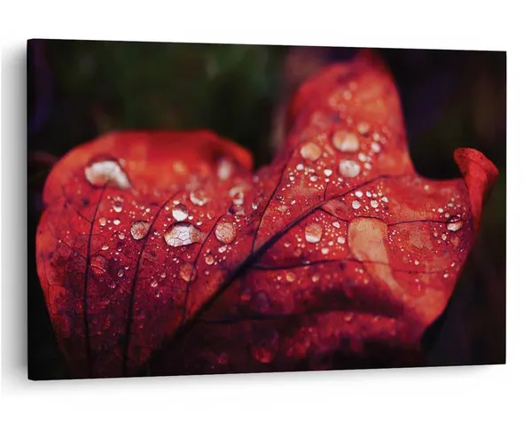 Multicolor_16_X_24_Inch,_Pine_Wood_Framed_Canvas_Paintings_|_For_Home_Decor,_Ready_To_Wall_Hanging,_Premium_Painting_|_For_|_Bedroom,_Living_Room,_Office_Wall_Decoration_|_Wall_Art_Painting,_Ct2476