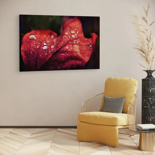 Multicolor_16_X_24_Inch,_Pine_Wood_Framed_Canvas_Paintings_|_For_Home_Decor,_Ready_To_Wall_Hanging,_Premium_Painting_|_For_|_Bedroom,_Living_Room,_Office_Wall_Decoration_|_Wall_Art_Painting,_Ct2476
