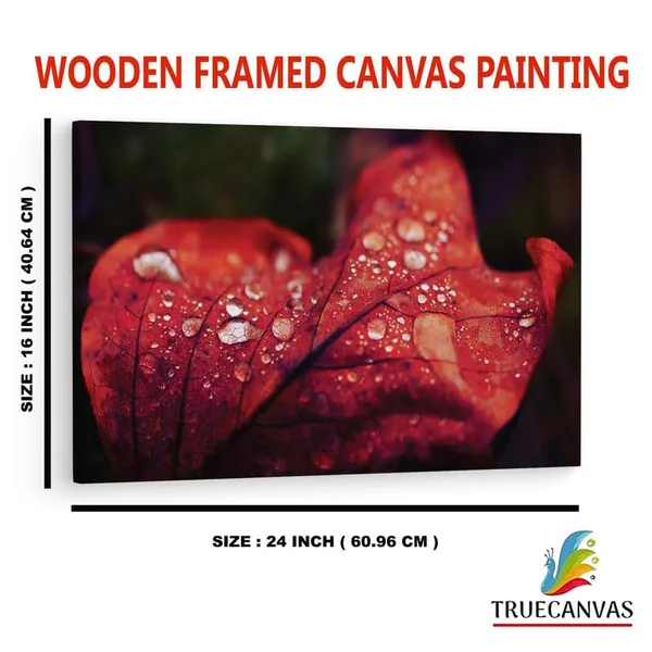 Multicolor_16_X_24_Inch,_Pine_Wood_Framed_Canvas_Paintings_|_For_Home_Decor,_Ready_To_Wall_Hanging,_Premium_Painting_|_For_|_Bedroom,_Living_Room,_Office_Wall_Decoration_|_Wall_Art_Painting,_Ct2476