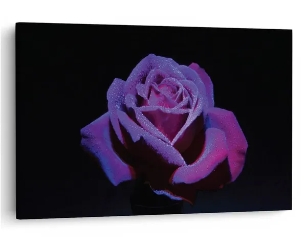 Multicolor_16_X_24_Inch,_Pine_Wood_Framed_Canvas_Paintings_|_For_Home_Decor,_Ready_To_Wall_Hanging,_Premium_Painting_|_For_|_Bedroom,_Living_Room,_Office_Wall_Decoration_|_Wall_Art_Painting,_Ct2478