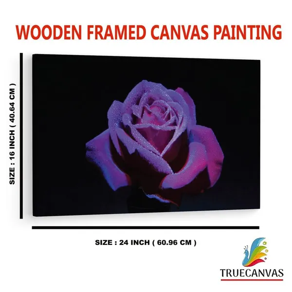 Multicolor_16_X_24_Inch,_Pine_Wood_Framed_Canvas_Paintings_|_For_Home_Decor,_Ready_To_Wall_Hanging,_Premium_Painting_|_For_|_Bedroom,_Living_Room,_Office_Wall_Decoration_|_Wall_Art_Painting,_Ct2478