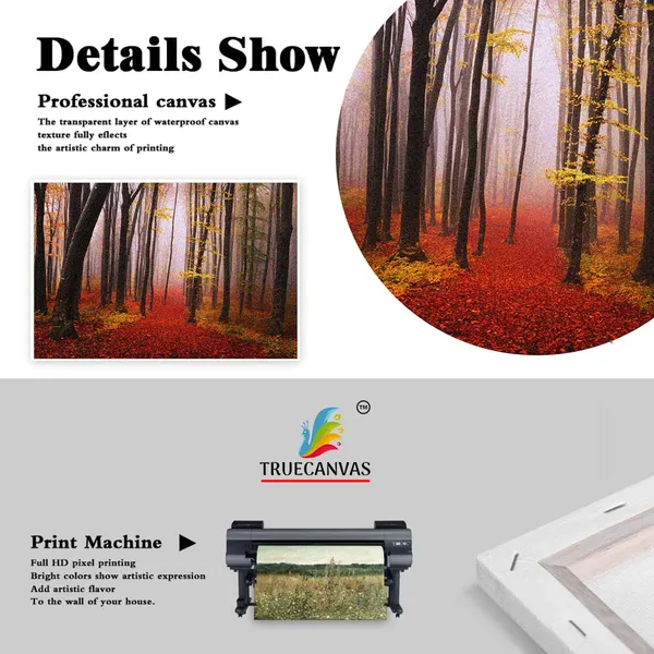 Multicolor_16_X_24_Inch,_Pine_Wood_Framed_Canvas_Paintings_|_For_Home_Decor,_Ready_To_Wall_Hanging,_Premium_Painting_|_For_|_Bedroom,_Living_Room,_Office_Wall_Decoration_|_Wall_Art_Painting,_Ct2481