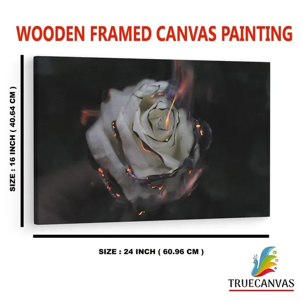 Multicolor_16_X_24_Inch,_Pine_Wood_Framed_Canvas_Paintings_|_For_Home_Decor,_Ready_To_Wall_Hanging,_Premium_Painting_|_For_|_Bedroom,_Living_Room,_Office_Wall_Decoration_|_Wall_Art_Painting,_Ct2482