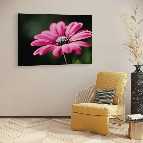 Multicolor_16_X_24_Inch,_Pine_Wood_Framed_Canvas_Paintings_|_For_Home_Decor,_Ready_To_Wall_Hanging,_Premium_Painting_|_For_|_Bedroom,_Living_Room,_Office_Wall_Decoration_|_Wall_Art_Painting,_Ct2484