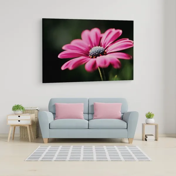 Multicolor_16_X_24_Inch,_Pine_Wood_Framed_Canvas_Paintings_|_For_Home_Decor,_Ready_To_Wall_Hanging,_Premium_Painting_|_For_|_Bedroom,_Living_Room,_Office_Wall_Decoration_|_Wall_Art_Painting,_Ct2484