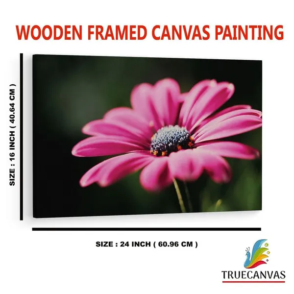 Multicolor_16_X_24_Inch,_Pine_Wood_Framed_Canvas_Paintings_|_For_Home_Decor,_Ready_To_Wall_Hanging,_Premium_Painting_|_For_|_Bedroom,_Living_Room,_Office_Wall_Decoration_|_Wall_Art_Painting,_Ct2484