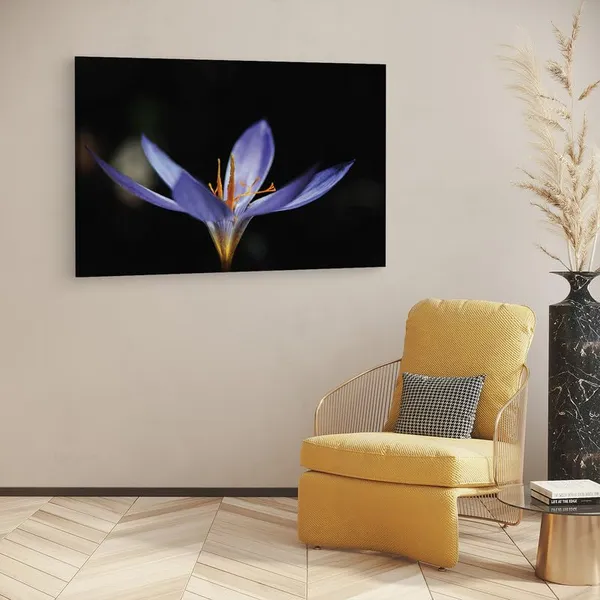 Multicolor_16_X_24_Inch,_Pine_Wood_Framed_Canvas_Paintings_|_For_Home_Decor,_Ready_To_Wall_Hanging,_Premium_Painting_|_For_|_Bedroom,_Living_Room,_Office_Wall_Decoration_|_Wall_Art_Painting,_Ct2485