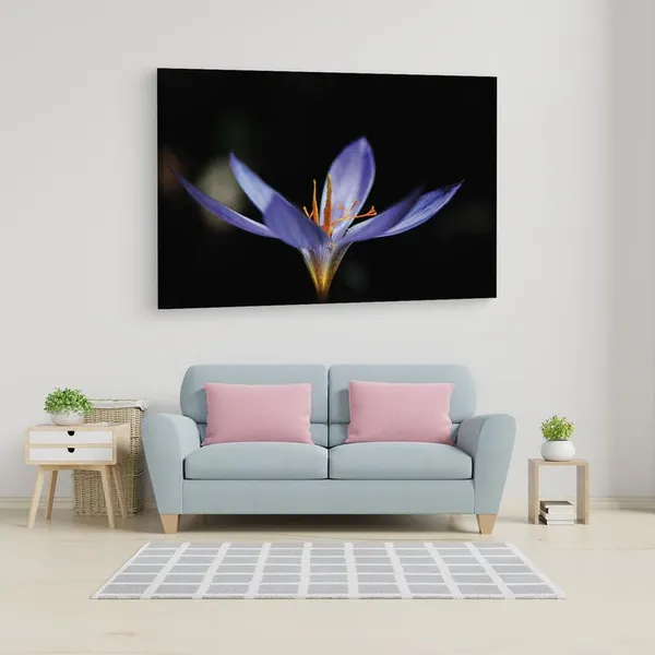Multicolor_16_X_24_Inch,_Pine_Wood_Framed_Canvas_Paintings_|_For_Home_Decor,_Ready_To_Wall_Hanging,_Premium_Painting_|_For_|_Bedroom,_Living_Room,_Office_Wall_Decoration_|_Wall_Art_Painting,_Ct2485