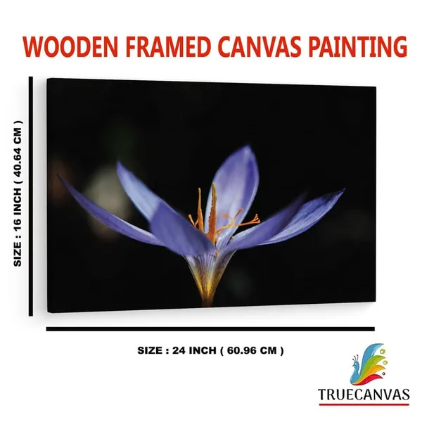 Multicolor_16_X_24_Inch,_Pine_Wood_Framed_Canvas_Paintings_|_For_Home_Decor,_Ready_To_Wall_Hanging,_Premium_Painting_|_For_|_Bedroom,_Living_Room,_Office_Wall_Decoration_|_Wall_Art_Painting,_Ct2485