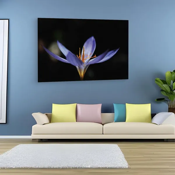 Multicolor_16_X_24_Inch,_Pine_Wood_Framed_Canvas_Paintings_|_For_Home_Decor,_Ready_To_Wall_Hanging,_Premium_Painting_|_For_|_Bedroom,_Living_Room,_Office_Wall_Decoration_|_Wall_Art_Painting,_Ct2485