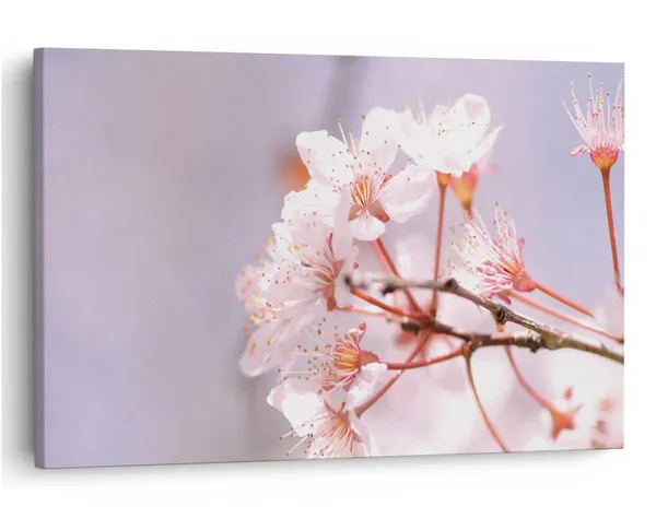 Multicolor_16_X_24_Inch,_Pine_Wood_Framed_Canvas_Paintings_|_For_Home_Decor,_Ready_To_Wall_Hanging,_Premium_Painting_|_For_|_Bedroom,_Living_Room,_Office_Wall_Decoration_|_Wall_Art_Painting,_Ct2486