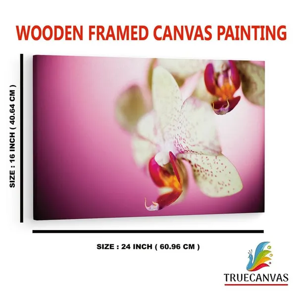 Multicolor_16_X_24_Inch,_Pine_Wood_Framed_Canvas_Paintings_|_For_Home_Decor,_Ready_To_Wall_Hanging,_Premium_Painting_|_For_|_Bedroom,_Living_Room,_Office_Wall_Decoration_|_Wall_Art_Painting,_Ct2487