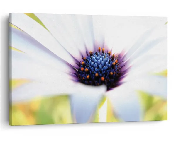 Multicolor_16_X_24_Inch,_Pine_Wood_Framed_Canvas_Paintings_|_For_Home_Decor,_Ready_To_Wall_Hanging,_Premium_Painting_|_For_|_Bedroom,_Living_Room,_Office_Wall_Decoration_|_Wall_Art_Painting,_Ct2488