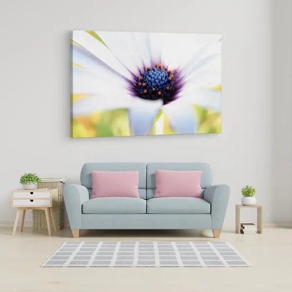 Multicolor_16_X_24_Inch,_Pine_Wood_Framed_Canvas_Paintings_|_For_Home_Decor,_Ready_To_Wall_Hanging,_Premium_Painting_|_For_|_Bedroom,_Living_Room,_Office_Wall_Decoration_|_Wall_Art_Painting,_Ct2488