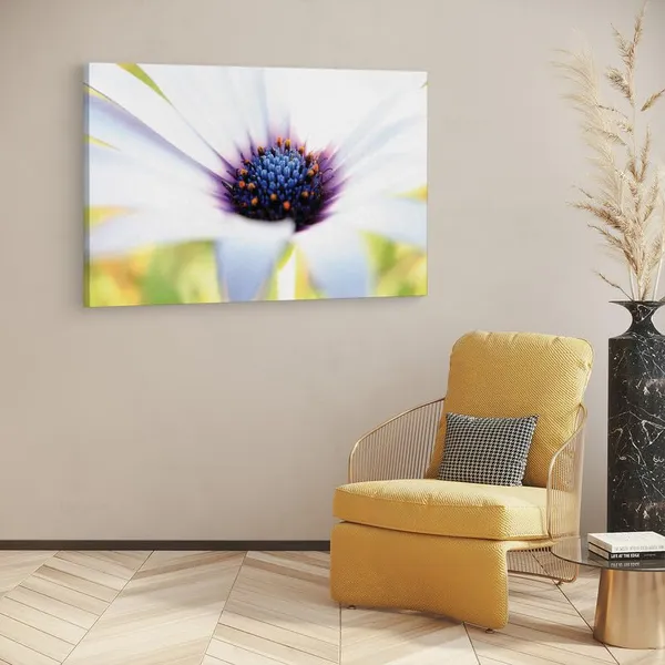 Multicolor_16_X_24_Inch,_Pine_Wood_Framed_Canvas_Paintings_|_For_Home_Decor,_Ready_To_Wall_Hanging,_Premium_Painting_|_For_|_Bedroom,_Living_Room,_Office_Wall_Decoration_|_Wall_Art_Painting,_Ct2488