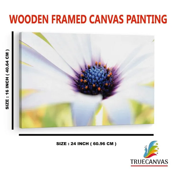 Multicolor_16_X_24_Inch,_Pine_Wood_Framed_Canvas_Paintings_|_For_Home_Decor,_Ready_To_Wall_Hanging,_Premium_Painting_|_For_|_Bedroom,_Living_Room,_Office_Wall_Decoration_|_Wall_Art_Painting,_Ct2488