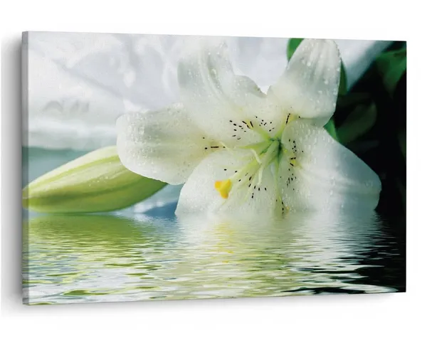 Multicolor_16_X_24_Inch,_Pine_Wood_Framed_Canvas_Paintings_|_For_Home_Decor,_Ready_To_Wall_Hanging,_Premium_Painting_|_For_|_Bedroom,_Living_Room,_Office_Wall_Decoration_|_Wall_Art_Painting,_Ct2489