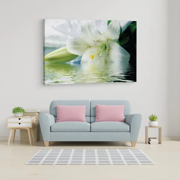 Multicolor_16_X_24_Inch,_Pine_Wood_Framed_Canvas_Paintings_|_For_Home_Decor,_Ready_To_Wall_Hanging,_Premium_Painting_|_For_|_Bedroom,_Living_Room,_Office_Wall_Decoration_|_Wall_Art_Painting,_Ct2489