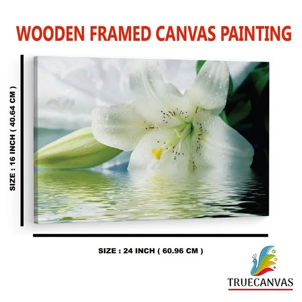 Multicolor_16_X_24_Inch,_Pine_Wood_Framed_Canvas_Paintings_|_For_Home_Decor,_Ready_To_Wall_Hanging,_Premium_Painting_|_For_|_Bedroom,_Living_Room,_Office_Wall_Decoration_|_Wall_Art_Painting,_Ct2489