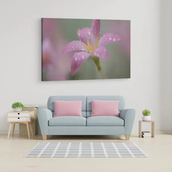 Multicolor_16_X_24_Inch,_Pine_Wood_Framed_Canvas_Paintings_|_For_Home_Decor,_Ready_To_Wall_Hanging,_Premium_Painting_|_For_|_Bedroom,_Living_Room,_Office_Wall_Decoration_|_Wall_Art_Painting,_Ct2490