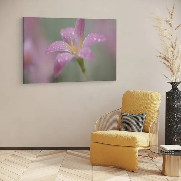 Multicolor_16_X_24_Inch,_Pine_Wood_Framed_Canvas_Paintings_|_For_Home_Decor,_Ready_To_Wall_Hanging,_Premium_Painting_|_For_|_Bedroom,_Living_Room,_Office_Wall_Decoration_|_Wall_Art_Painting,_Ct2490